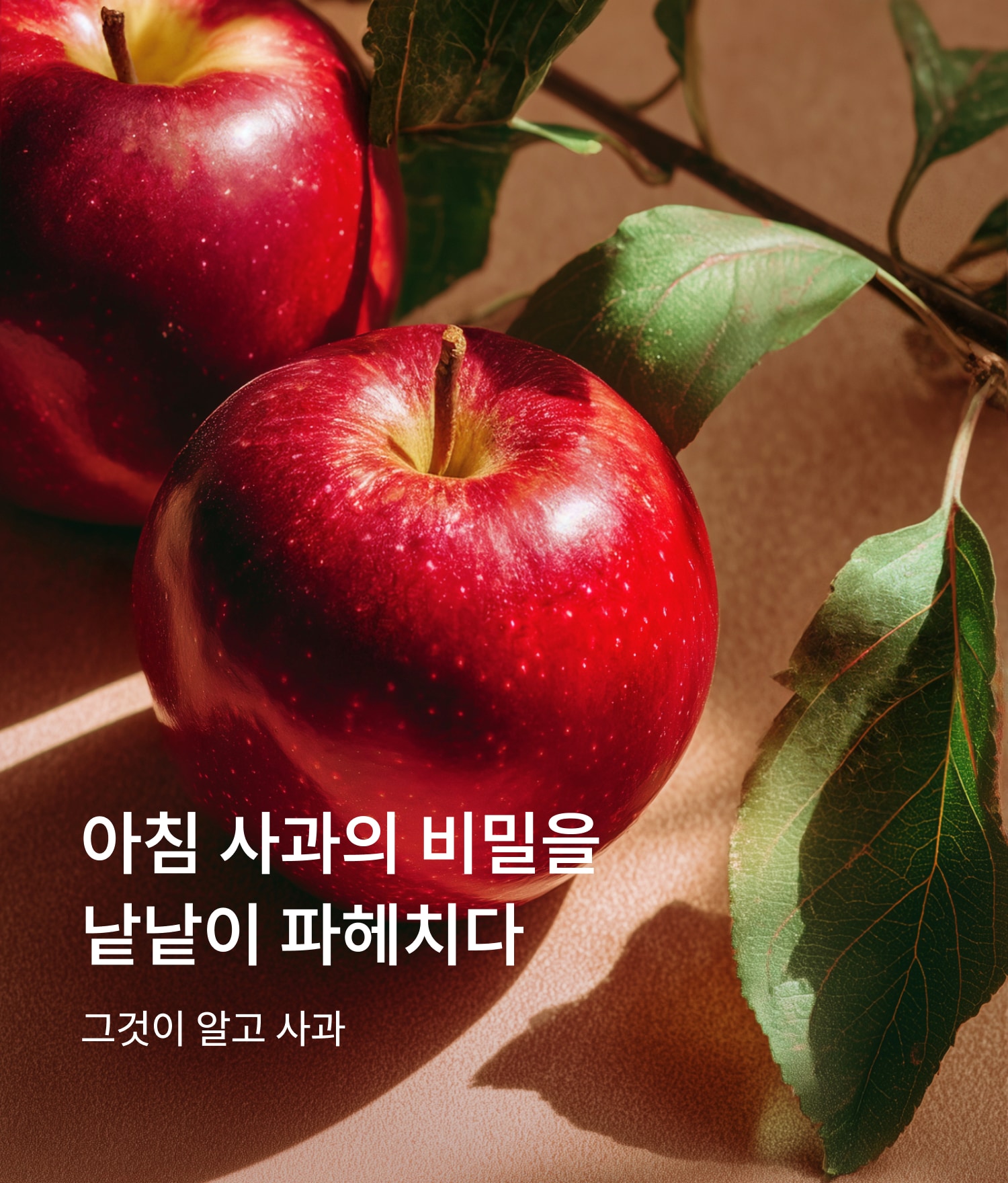 스토리