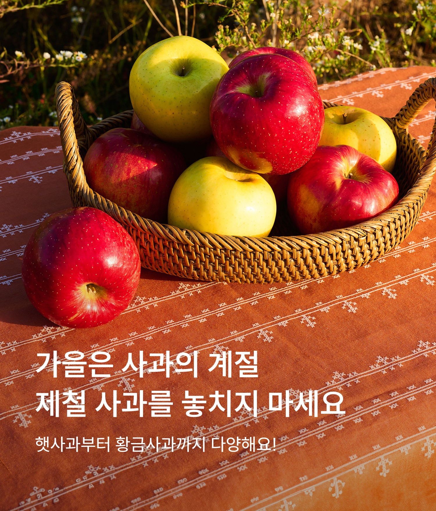가을 사과