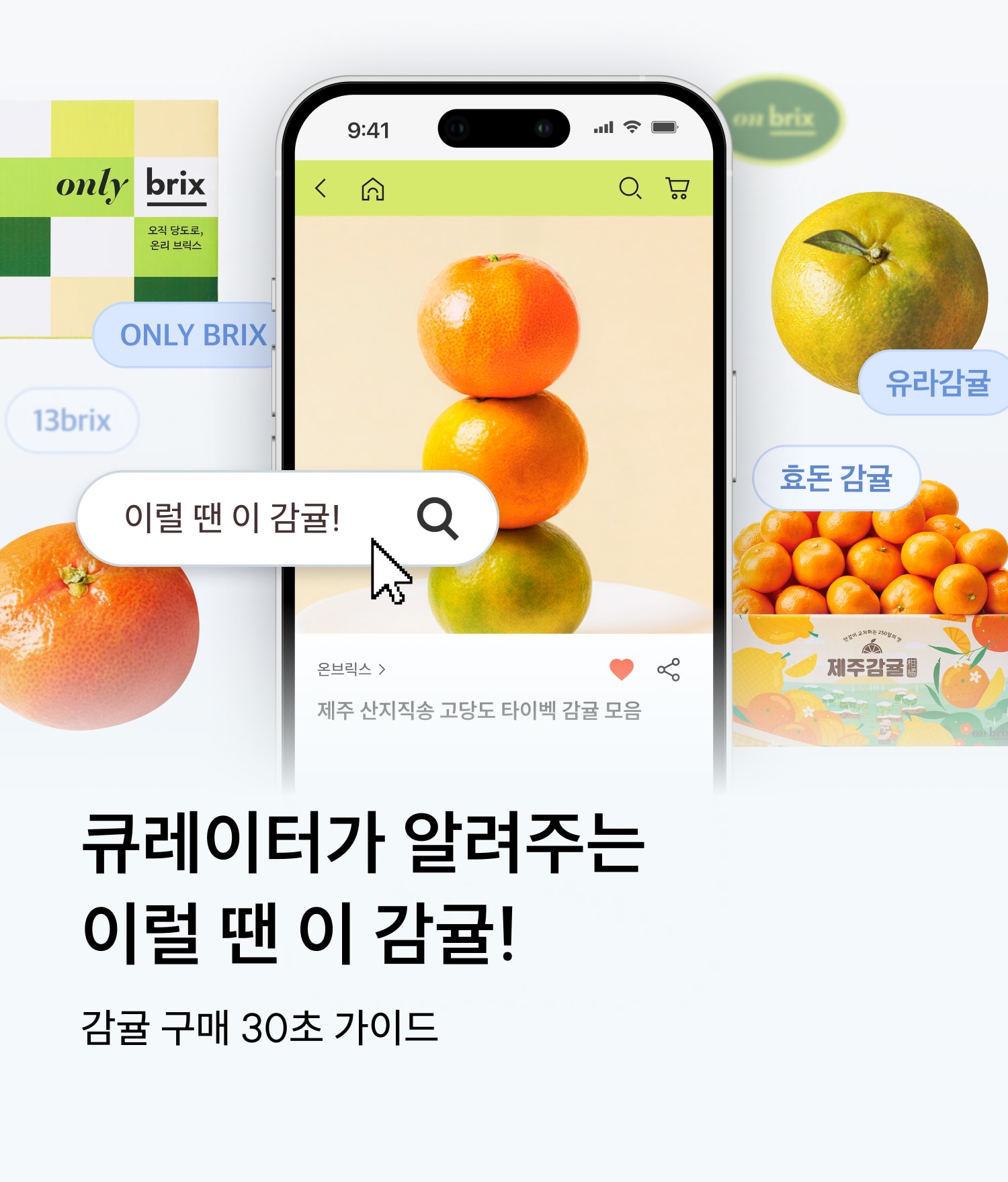 감귤 구매 30초 가이드