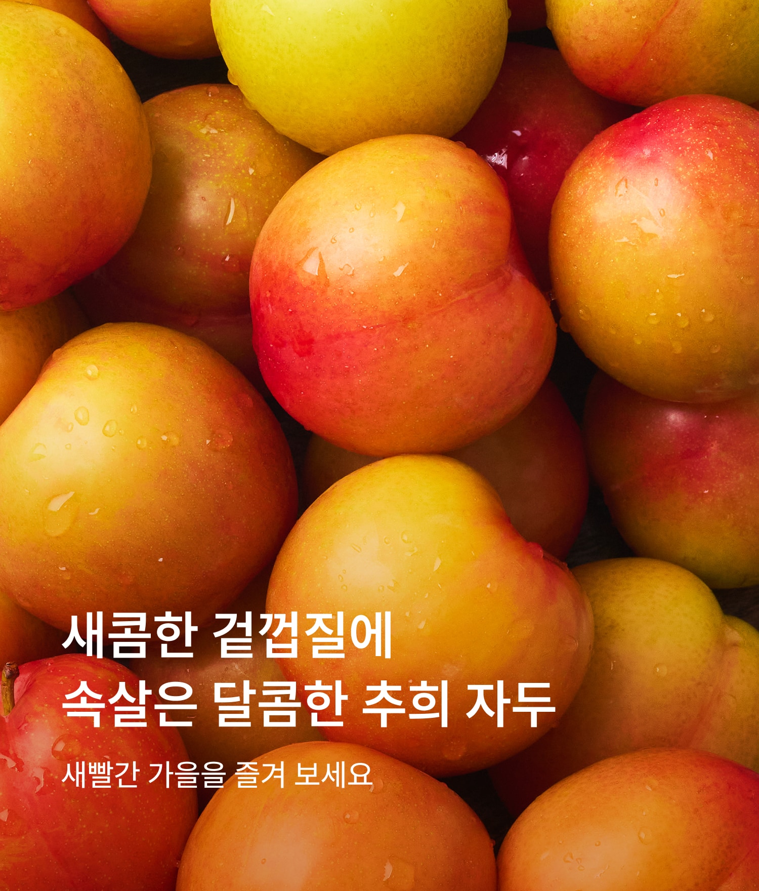 자두
