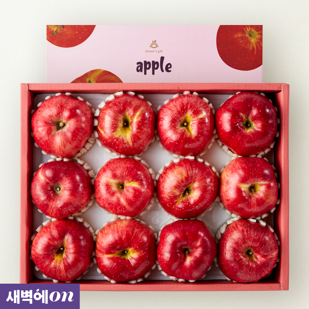 [새벽에On] 고당도 홍로 사과 선물세트 3kg이상(10-12입/특품)