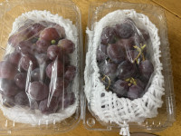 이미지없음