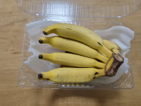 이미지없음