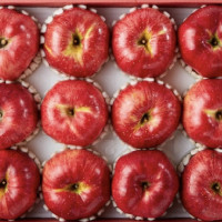 이미지없음
