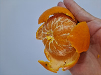이미지없음