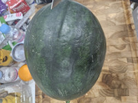 이미지없음