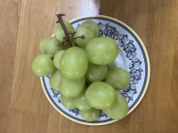 이미지없음