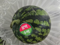 이미지없음