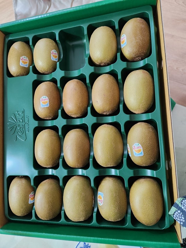 이미지없음
